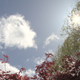 Image for article titled Shooting Challenge: HDR Gallery Part 3